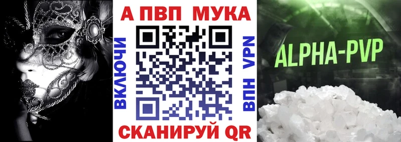 omg маркетплейс  Салехард  Alfa_PVP СК КРИС 