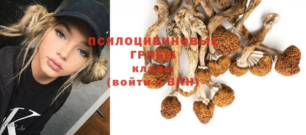 тгк Аркадак